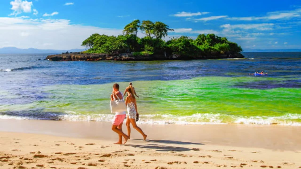 Samana: Full day Samana Amazing tour Punta Cana â Guided tour and outdoor activity