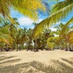 Punta Cana: Boat Tour to Isla Saona, Open Bar & Buffet Lunch β Guided tour and outdoor activity