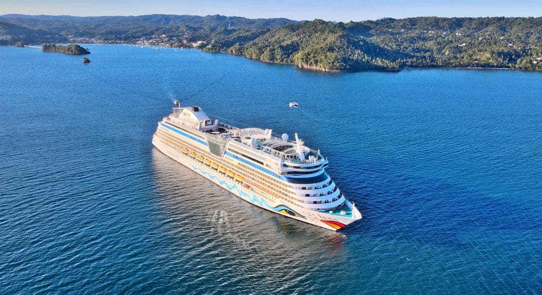 10 Best Samaná Cruise Port Shore Excursions (2027)
